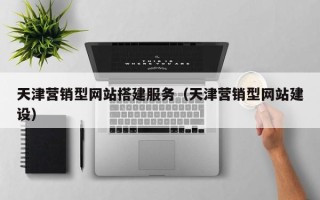 招远天津营销型网站搭建服务（天津营销型网站建设）